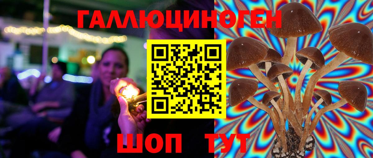 как найти   Вход с VPN  Ульяновск  Псилоцибиновые грибы мицелий 