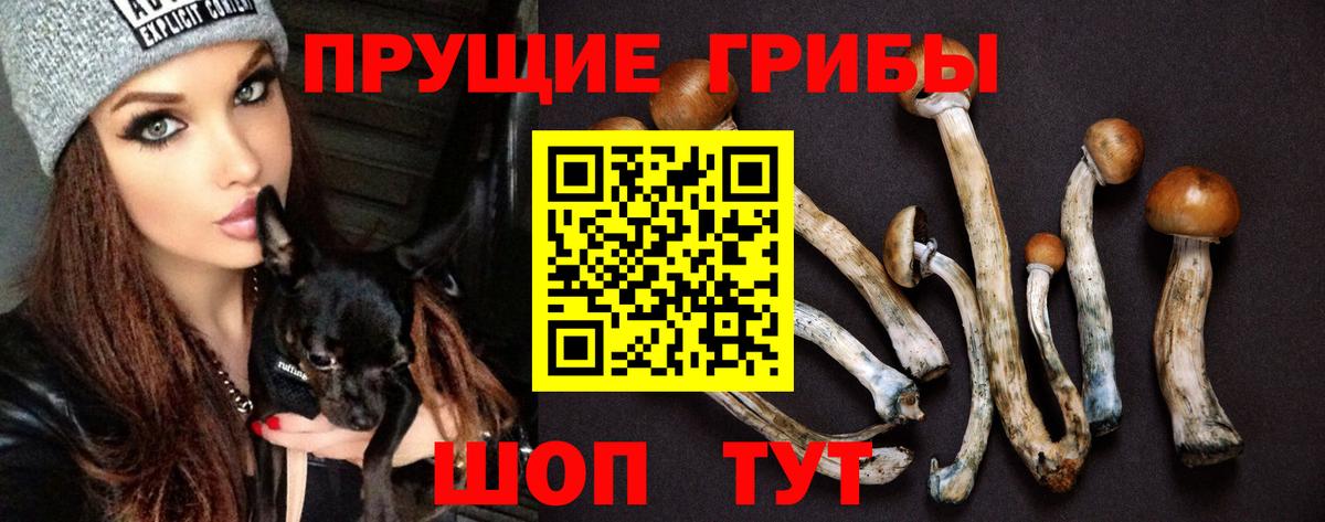Галлюциногенные грибы Psilocybine cubensis Ульяновск